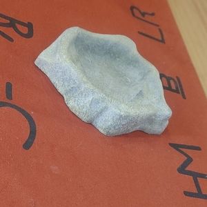 Reptile Food/Water Dish